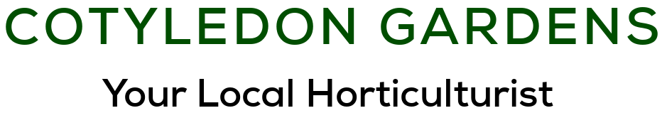 Cotyledon Gardens Name and Slogan