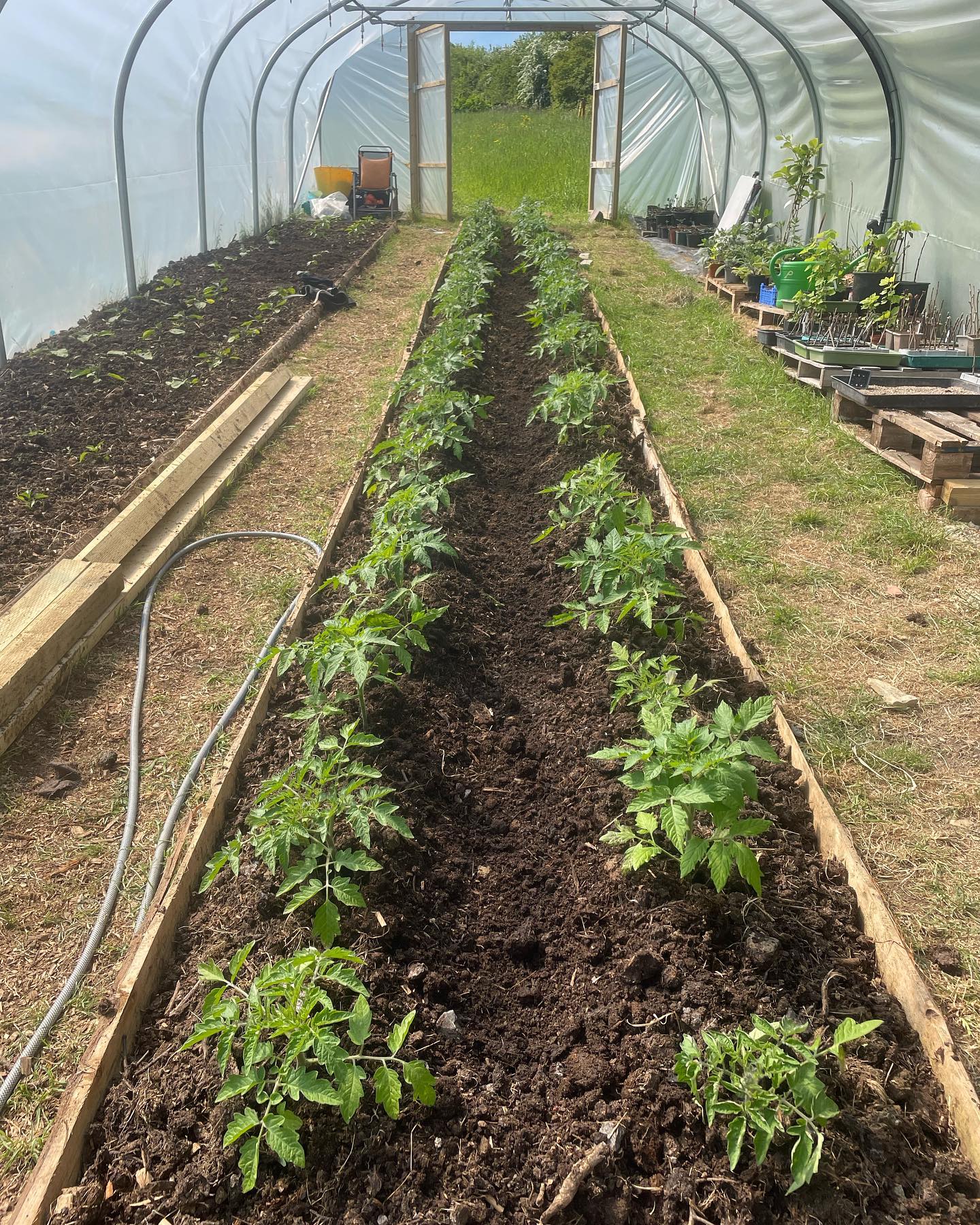 Gardening Gardening